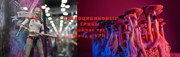 ешки Белоозёрский