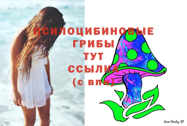 соль ск Майский