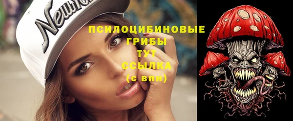 ешки Белоозёрский